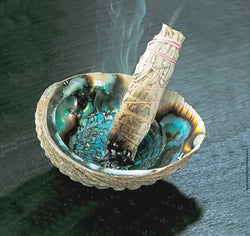 Natural green abalone shells for burning, incense