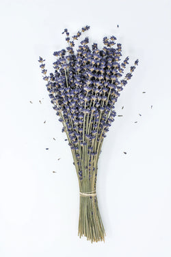 Lavender bouquet